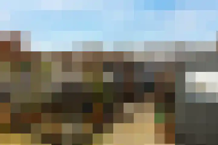 Haviklaan 21 Dieren thumbnail 20