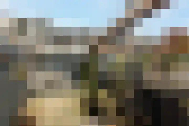 Haviklaan 21 Dieren thumbnail 21