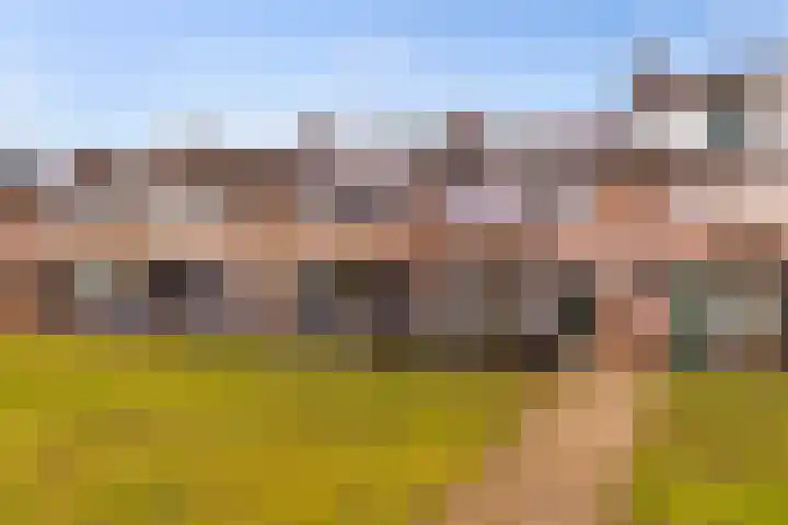 Haviklaan 21 Dieren thumbnail 5