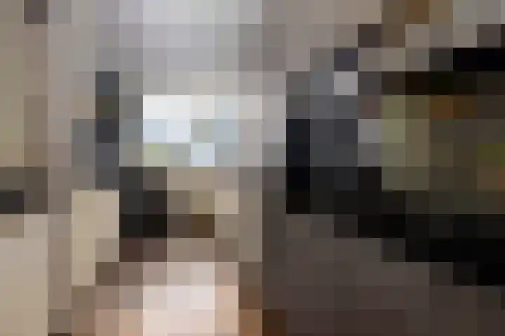 Haviklaan 21 Dieren thumbnail 9