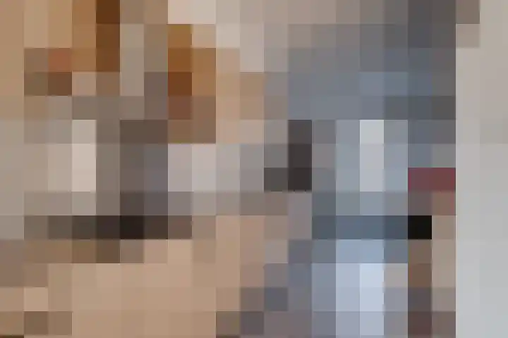Haviklaan 3 Dieren thumbnail 15