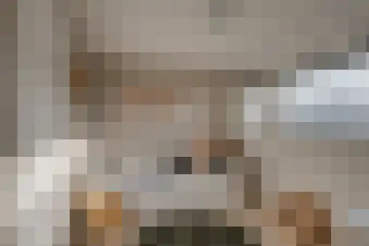 Haviklaan 3 Dieren thumbnail 19