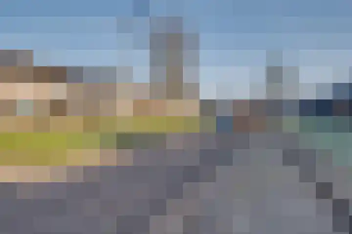 Haviklaan 3 Dieren thumbnail 27