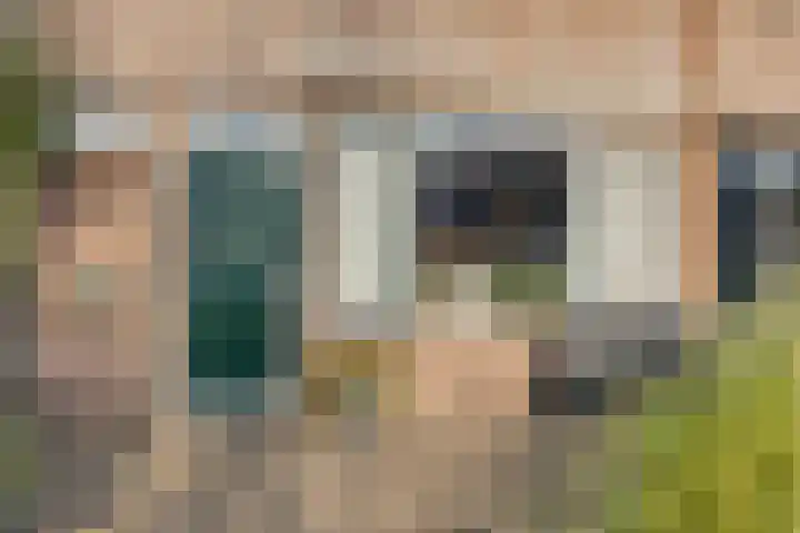 Haviklaan 3 Dieren thumbnail 4