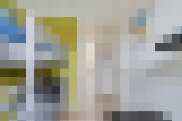 Haviklaan 38 Venray thumbnail 23