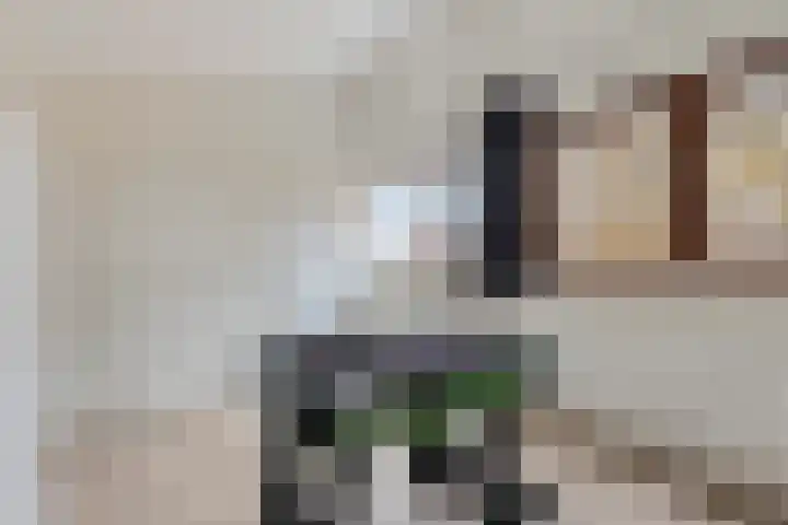 Haviklaan 38 Venray thumbnail 30