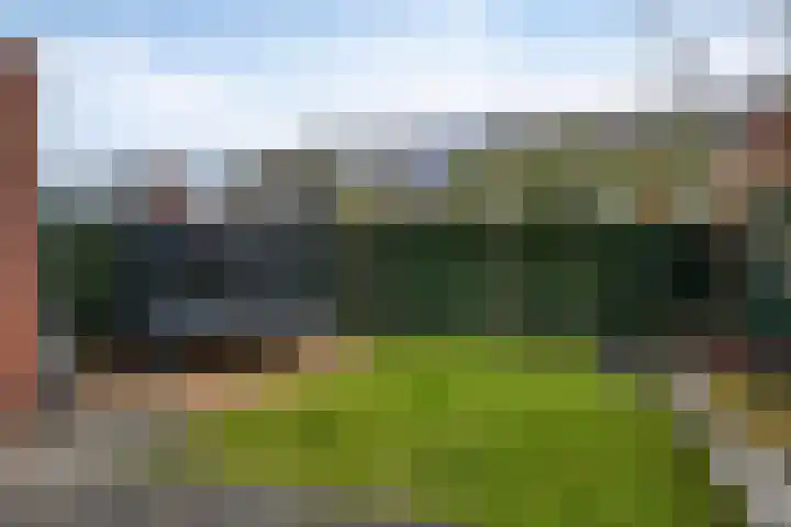 Haviklaan 38 Venray thumbnail 35