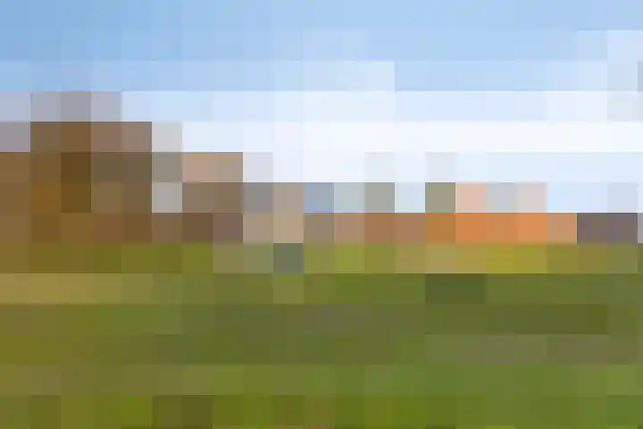 Haviklaan 38 Venray thumbnail 37