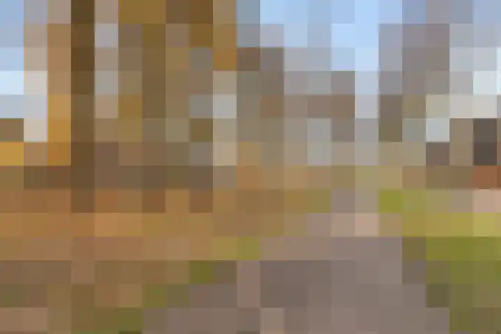 Haviklaan 38 Venray thumbnail 5