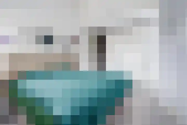 Haviklaan 46 Venray thumbnail 13