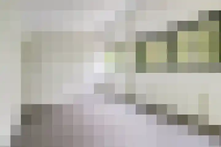 Haviklaan 46 Venray thumbnail 24
