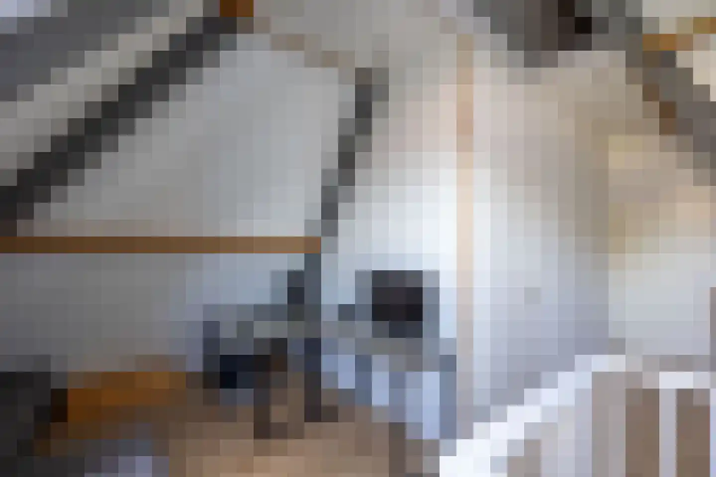 Haviklaan 50 Venray thumbnail 33