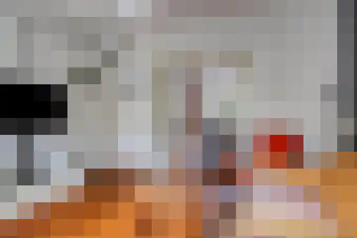 Haviklaan 7 Eindhoven thumbnail 10