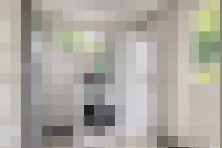 Haviklaan 7 Eindhoven thumbnail 17