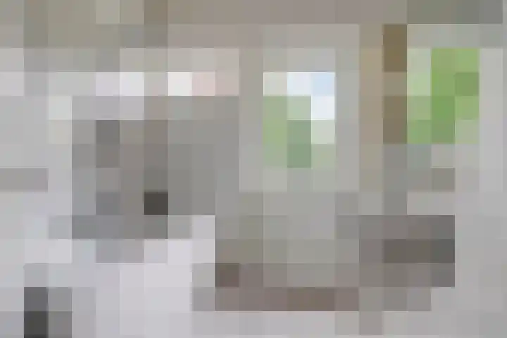 Haviklaan 7 Eindhoven thumbnail 20