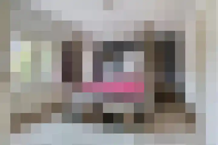 Haviklaan 7 Eindhoven thumbnail 22