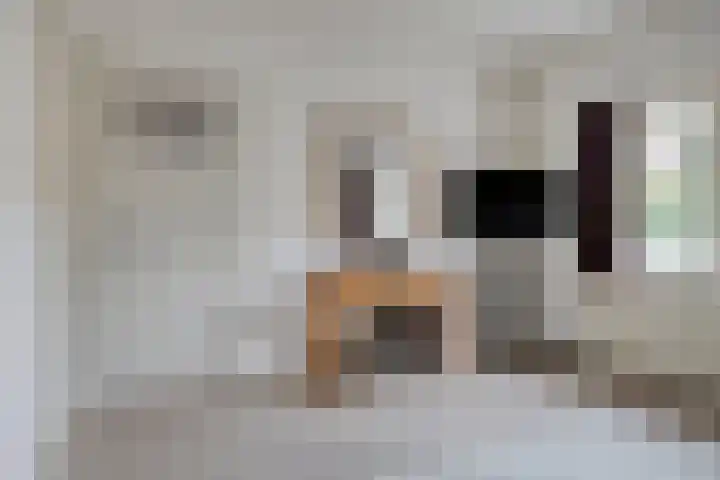 Haviklaan 7 Eindhoven thumbnail 23