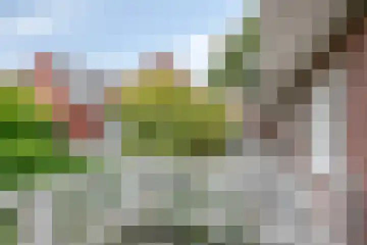 Haviklaan 7 Eindhoven thumbnail 29
