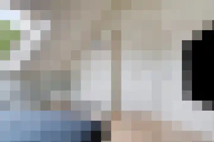 Haviklaan 7 Eindhoven thumbnail 34
