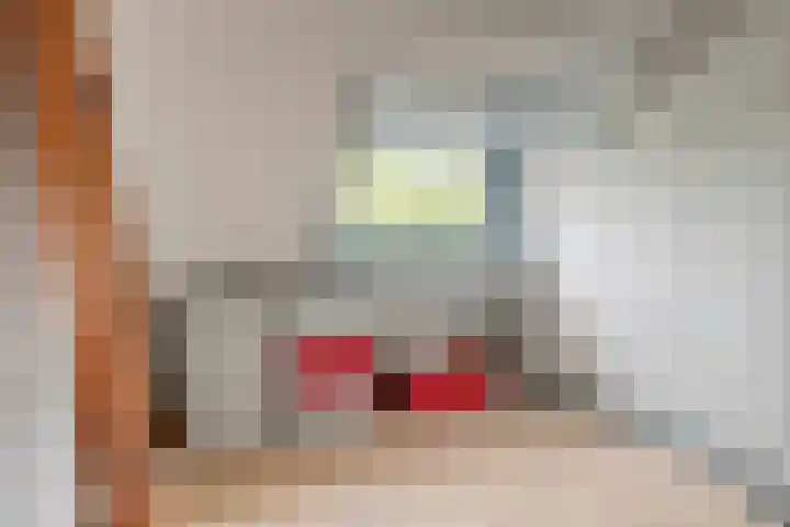 Haviklaan 7 Eindhoven thumbnail 36