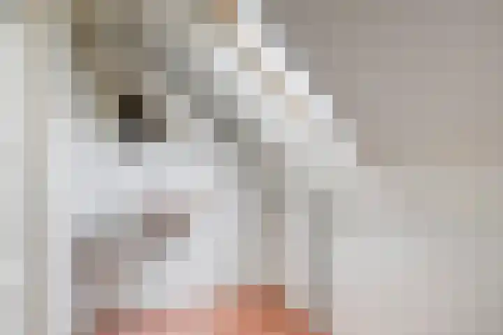 Haviklaan 7 Eindhoven thumbnail 38