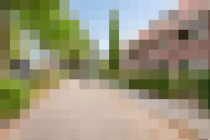 Haviklaan 7 Eindhoven thumbnail 4