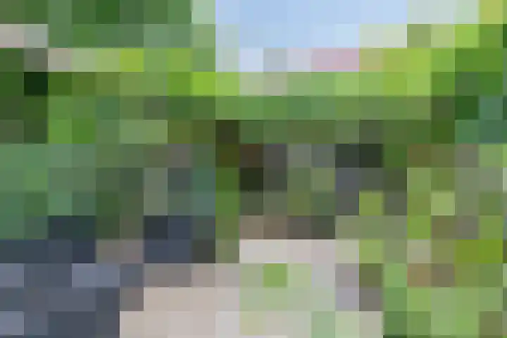 Haviklaan 7 Eindhoven thumbnail 42