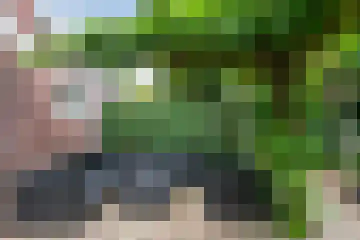 Haviklaan 7 Eindhoven thumbnail 43