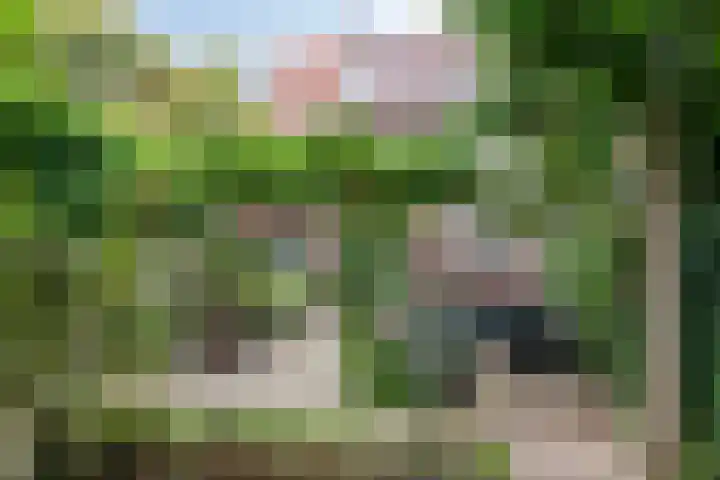 Haviklaan 7 Eindhoven thumbnail 44