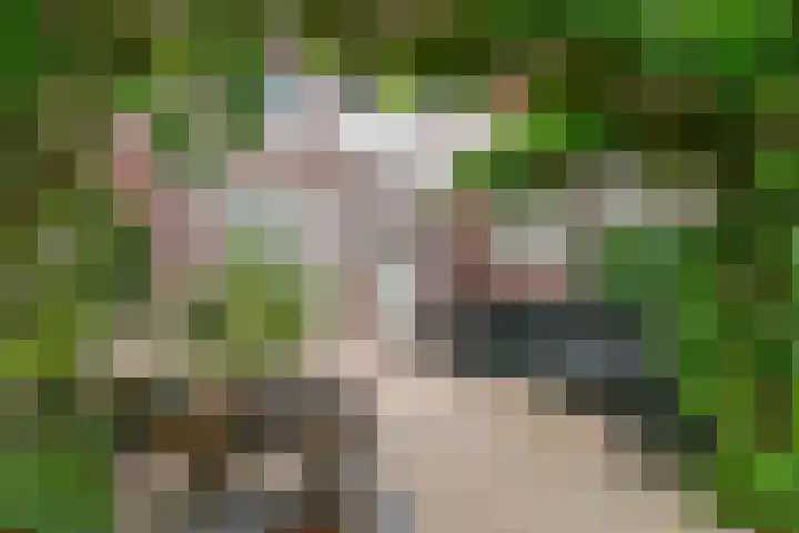 Haviklaan 7 Eindhoven thumbnail 46