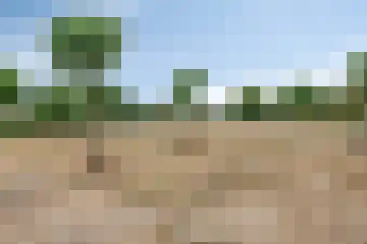 Haviklaan 7 Eindhoven thumbnail 50