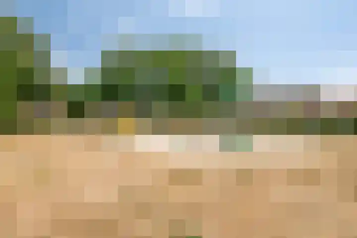 Haviklaan 7 Eindhoven thumbnail 51