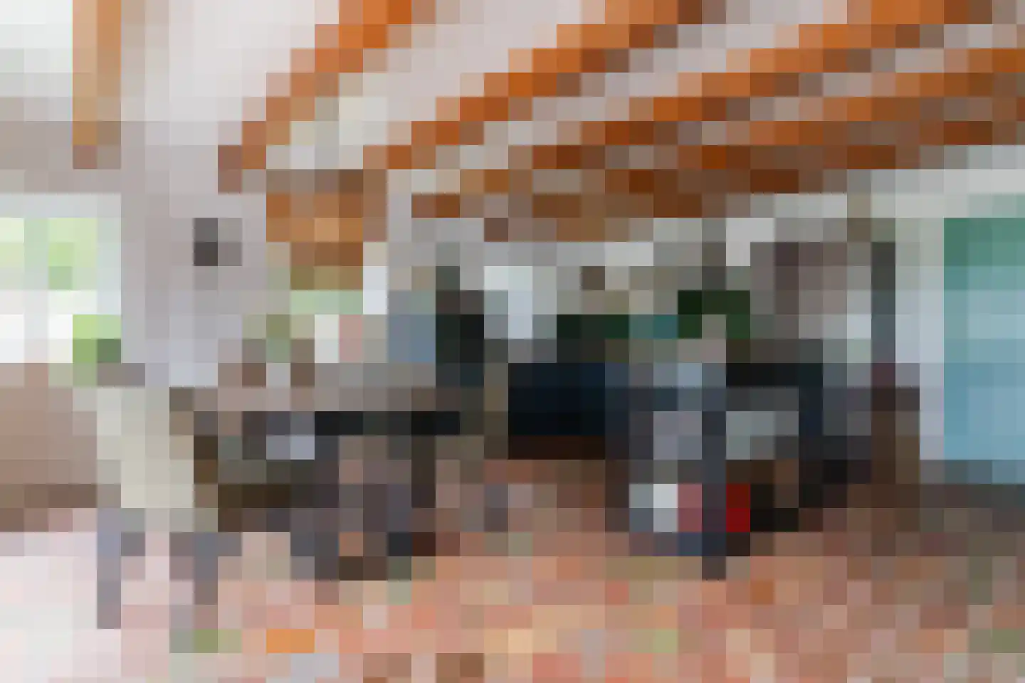 Haviksdijkje 7 B Grootschermer thumbnail 10