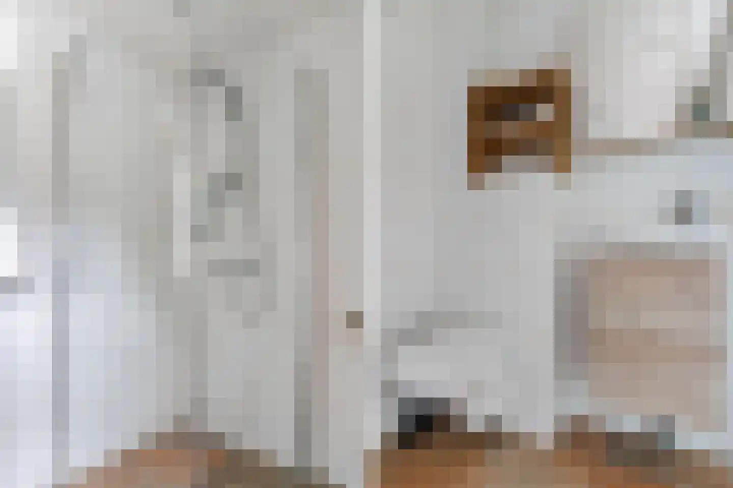Haviksdijkje 7 B Grootschermer thumbnail 18
