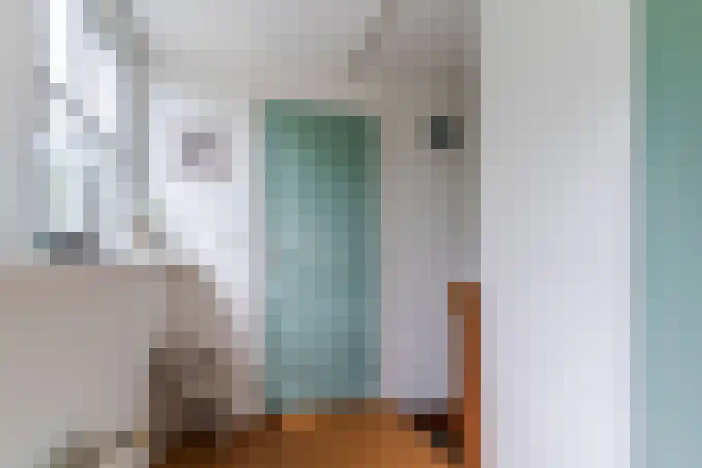 Haviksdijkje 7 B Grootschermer thumbnail 20