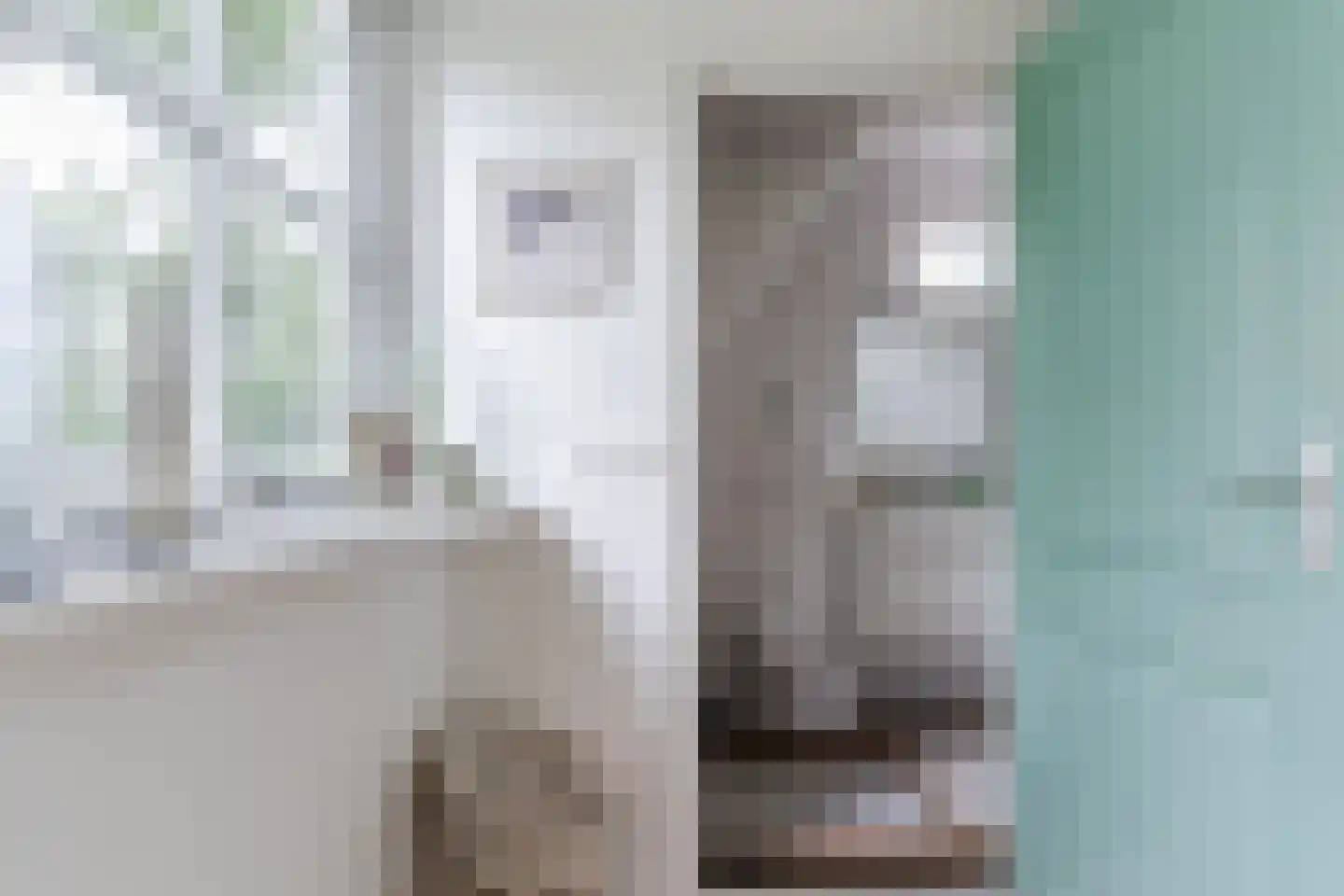 Haviksdijkje 7 B Grootschermer thumbnail 21