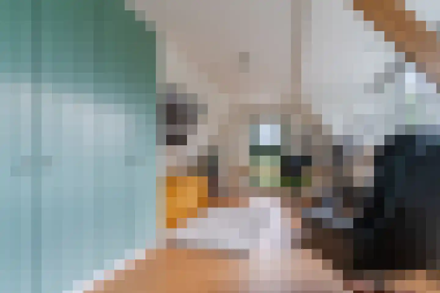 Haviksdijkje 7 B Grootschermer thumbnail 22