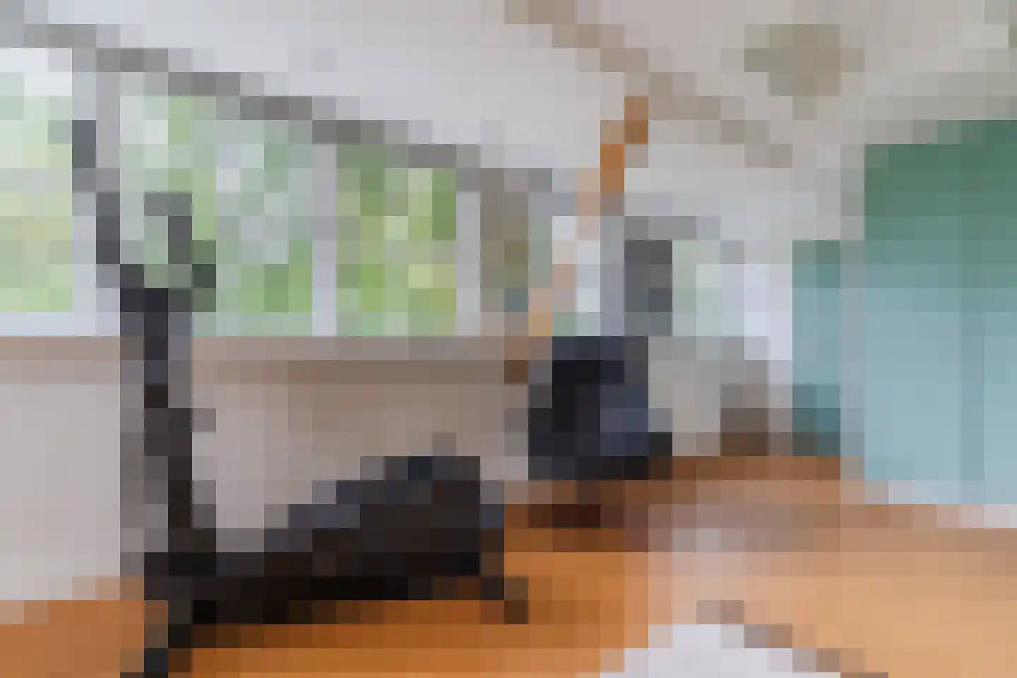 Haviksdijkje 7 B Grootschermer thumbnail 25