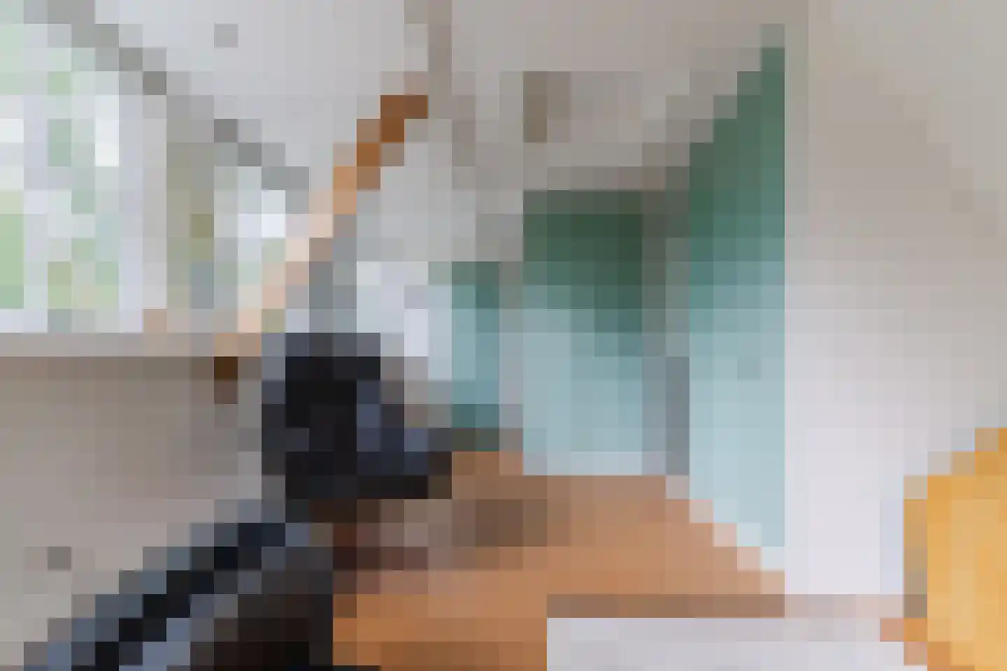Haviksdijkje 7 B Grootschermer thumbnail 26