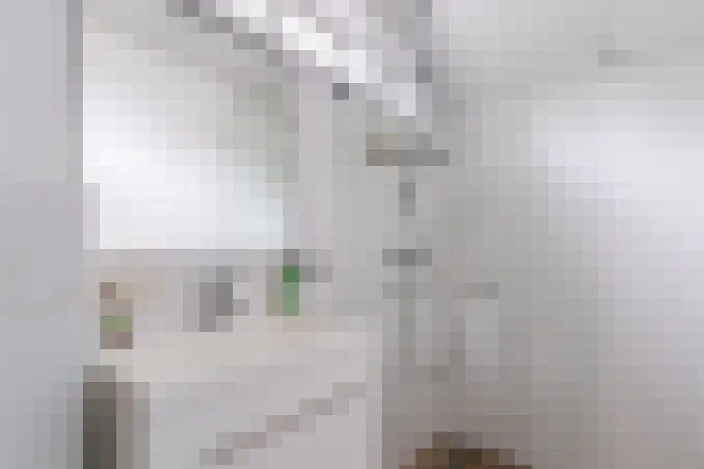 Haviksdijkje 7 B Grootschermer thumbnail 28