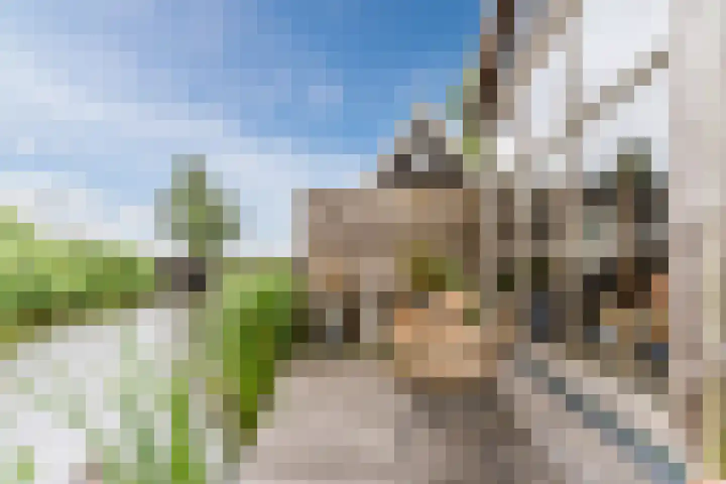Haviksdijkje 7 B Grootschermer thumbnail 36
