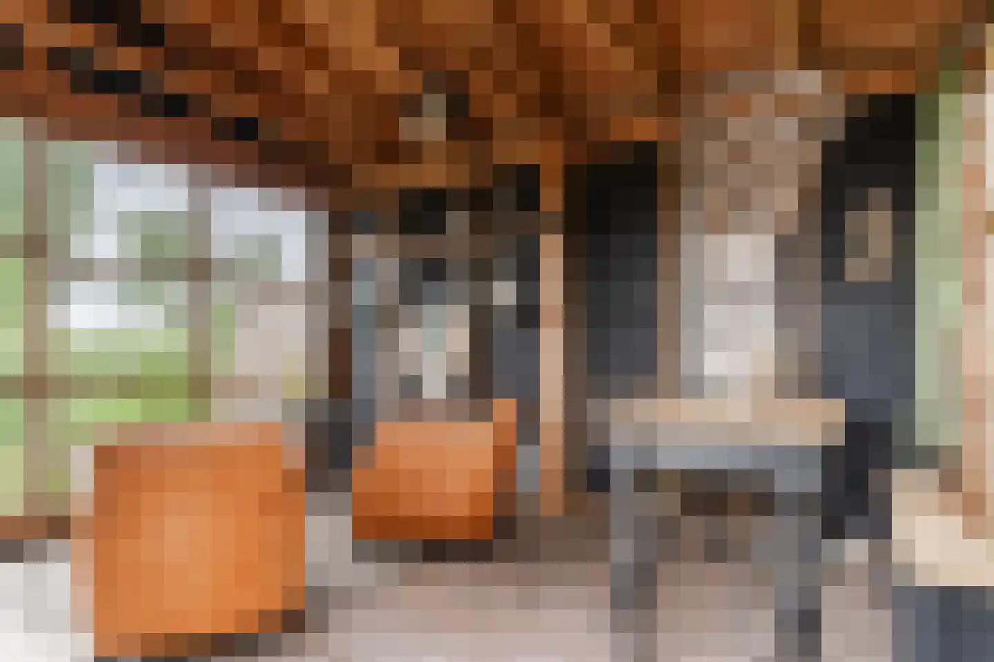 Haviksdijkje 7 B Grootschermer thumbnail 37