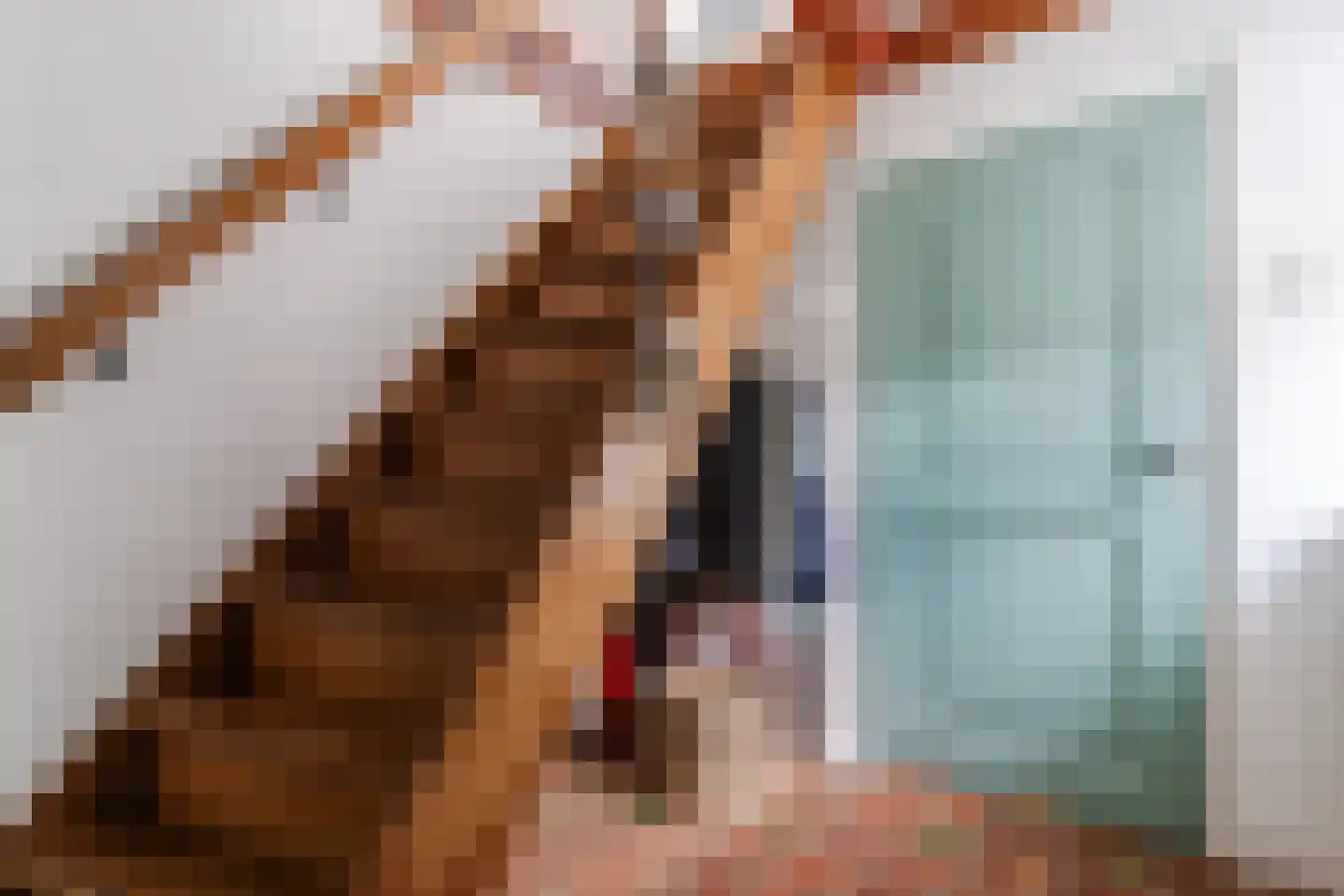 Haviksdijkje 7 B Grootschermer thumbnail 4