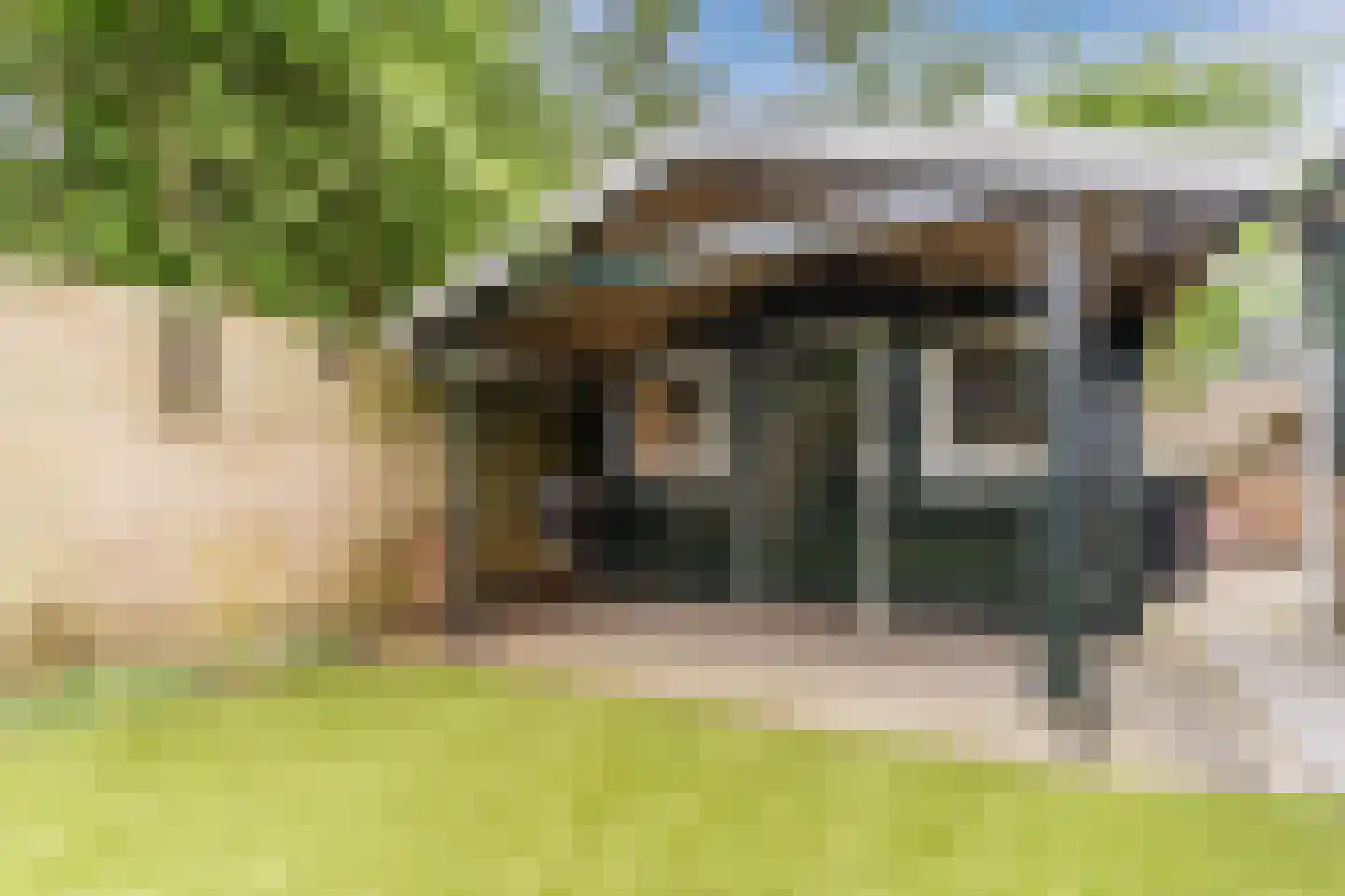 Haviksdijkje 7 B Grootschermer thumbnail 40