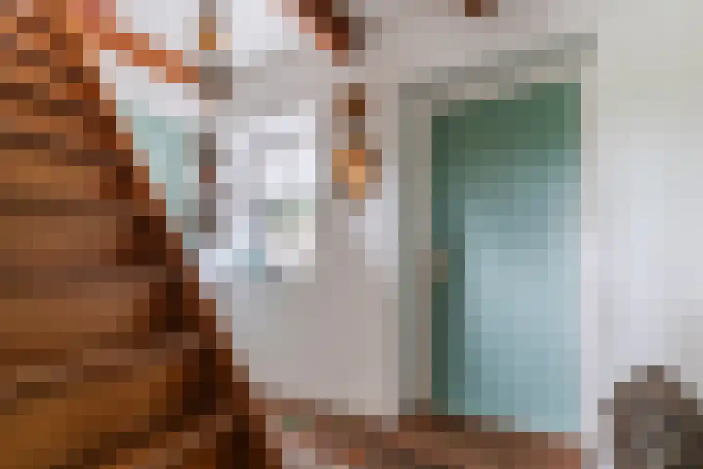 Haviksdijkje 7 B Grootschermer thumbnail 5