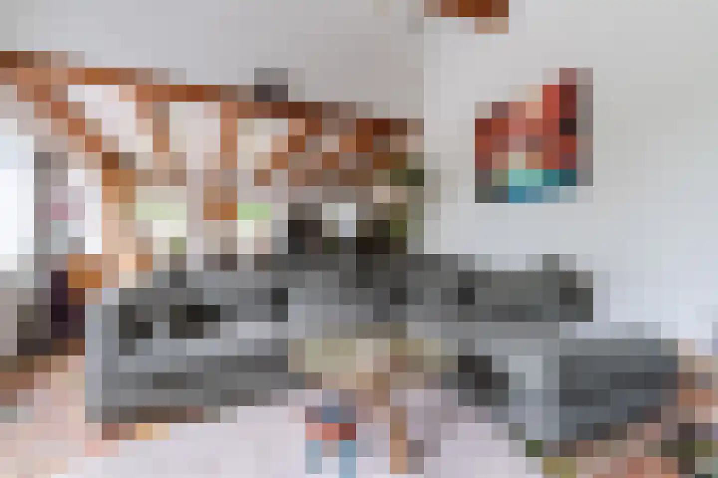 Haviksdijkje 7 B Grootschermer thumbnail 9