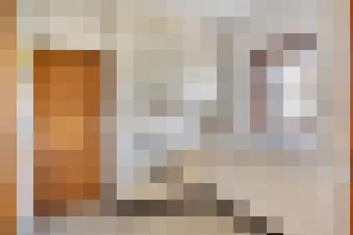 Haviksdonk 43 Veghel thumbnail 11