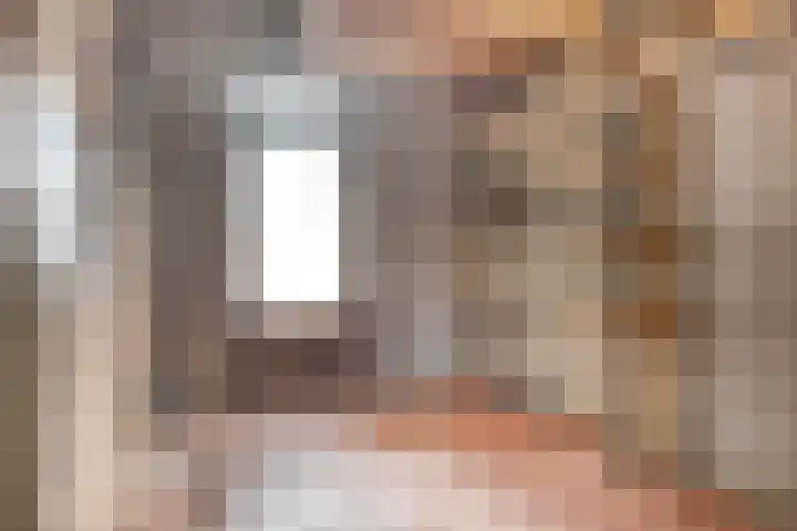 Haviksdonk 43 Veghel thumbnail 14