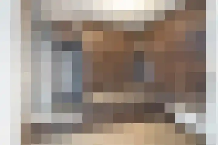 Haviksdonk 43 Veghel thumbnail 22