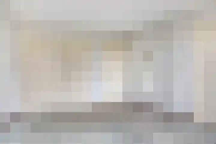 Haviksdonk 43 Veghel thumbnail 24
